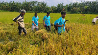 কৃষকের-মুখে-হাসি-ফোটাতে-মাঠে-প্রত্যয়-তরুণ-সংঘ,-কেট