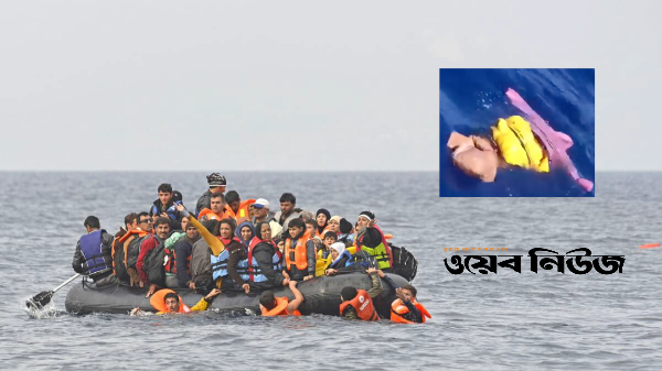 webnews24