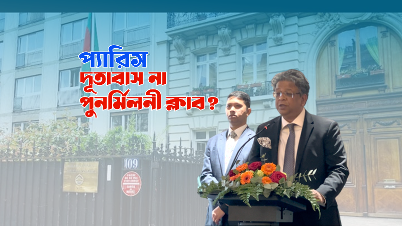 webnews24