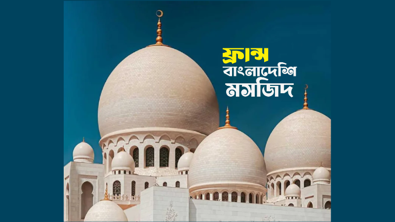 webnews24